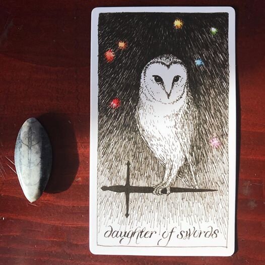 The Wild Unknown Tarot