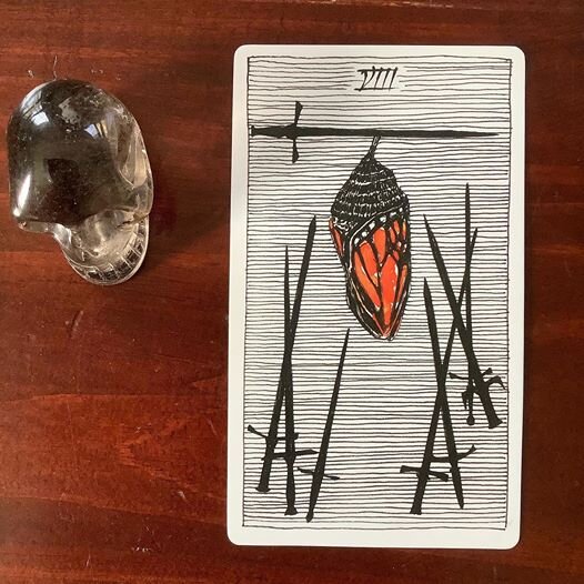  The Wild Unknown Tarot 
