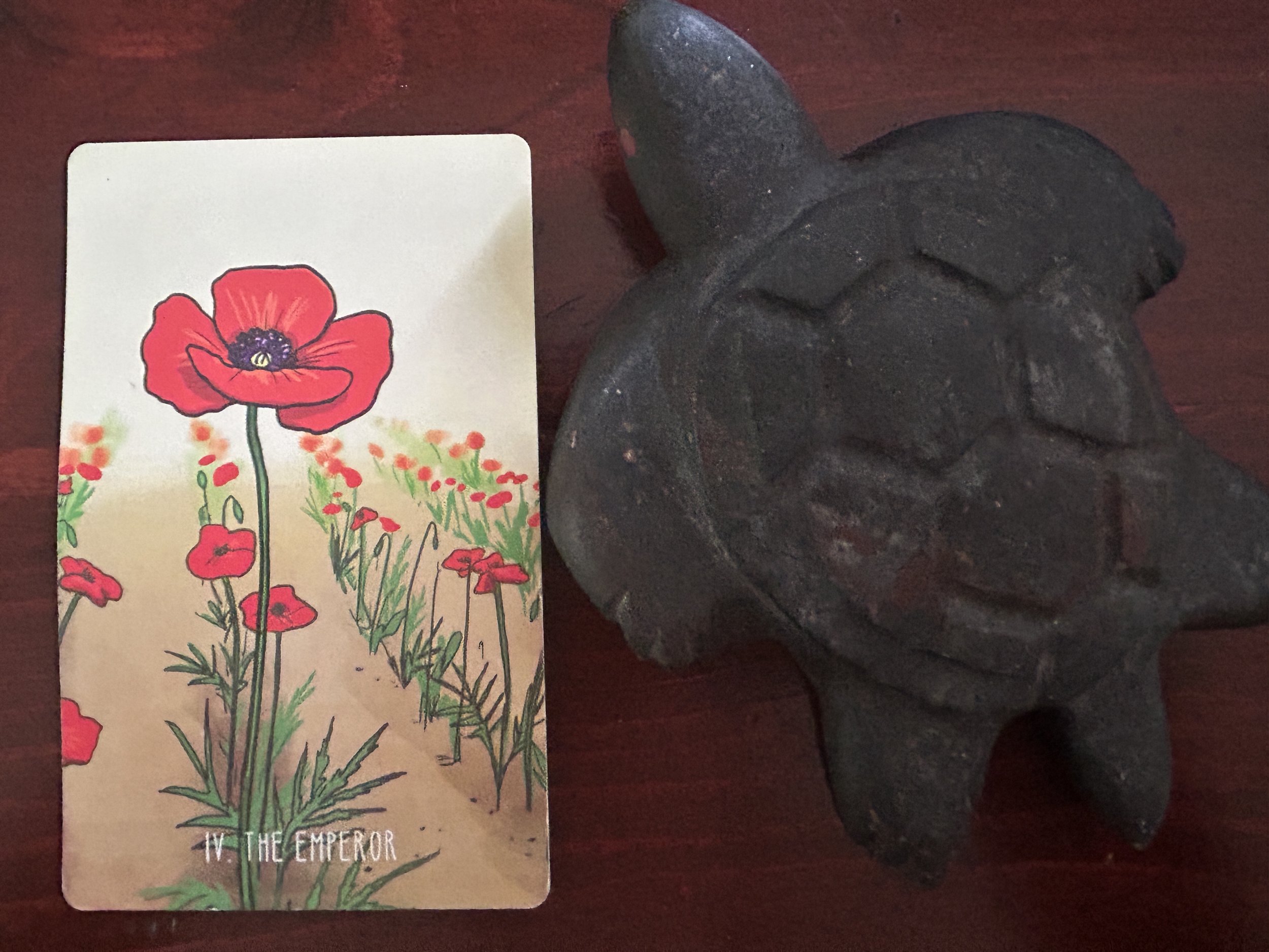 emperor tarot card with a single red poppy flower towering above rows of poppies