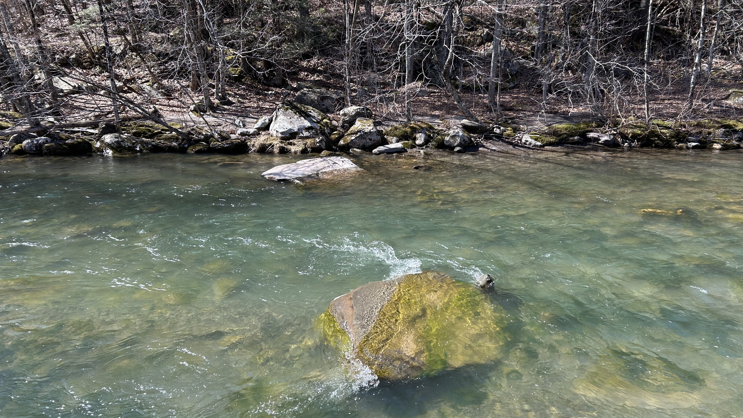a boulder in the middle of jade-green creek water with a bank of bare trees in the background