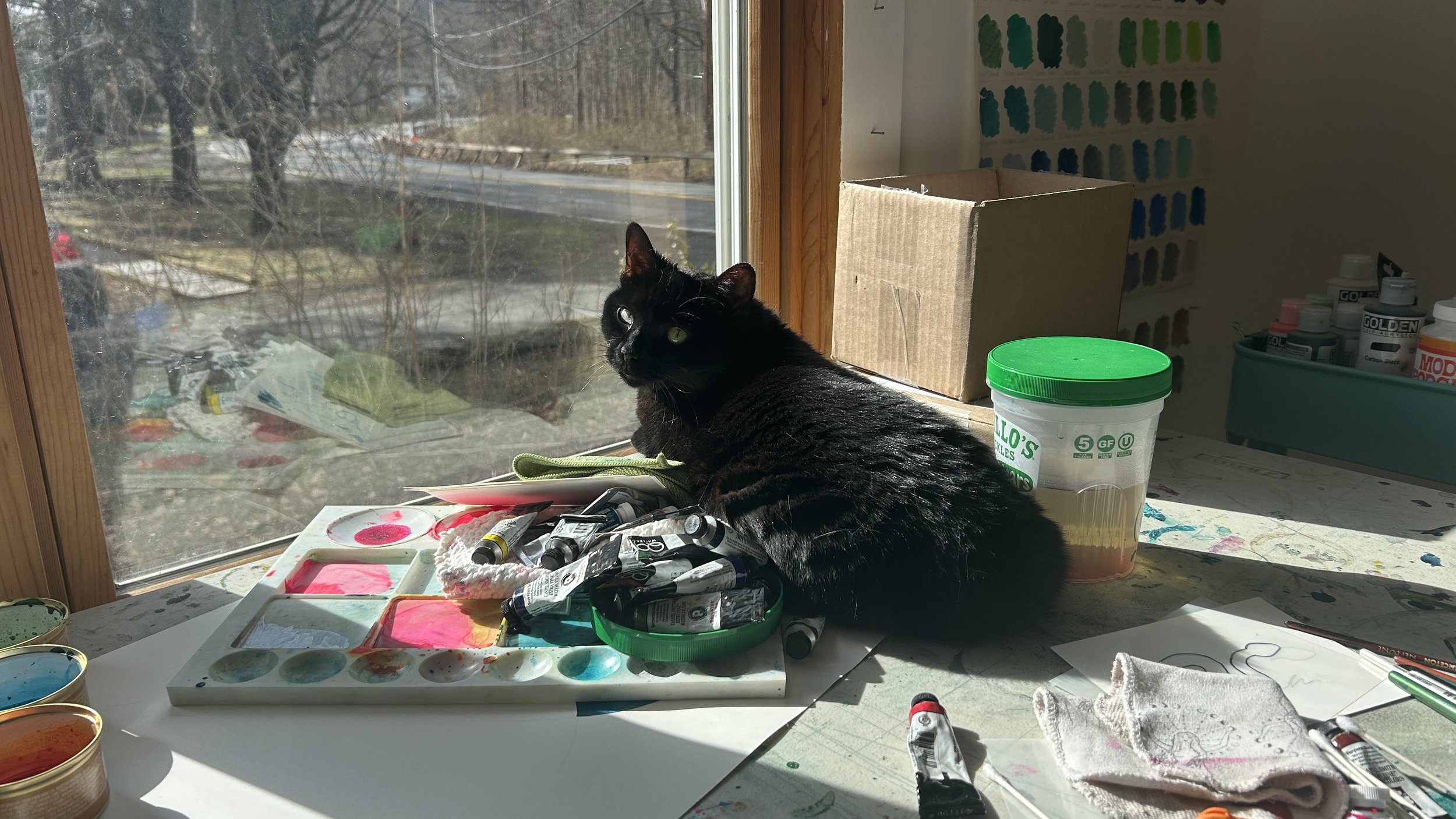 black cat with green eyes laying on a table of art supplies