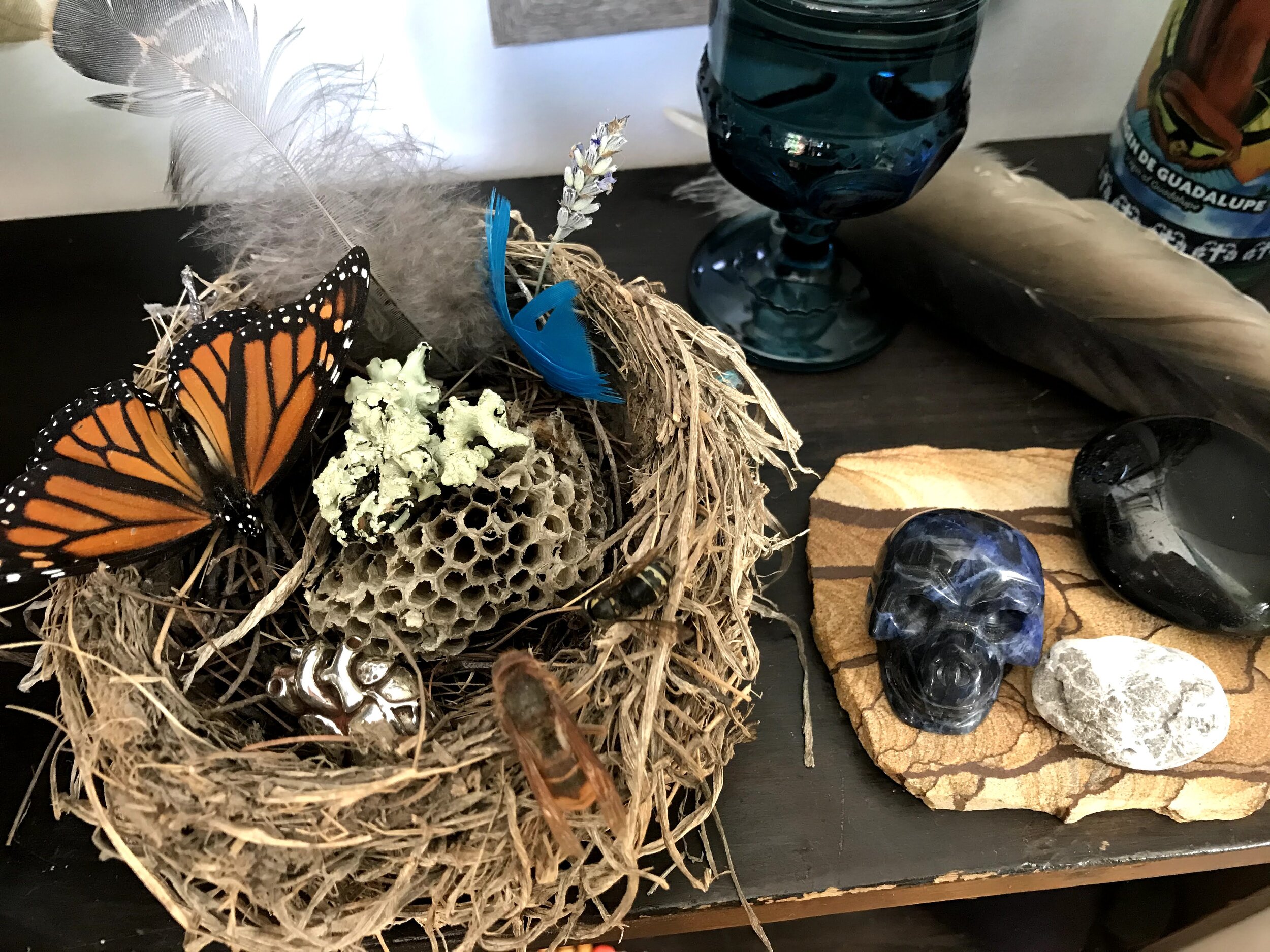 fragments of an altar including a birds nest with feathers, lichen, a silver anatomical heart, a butterfly and bee, a lapis skull stone and a blue glass water goblet