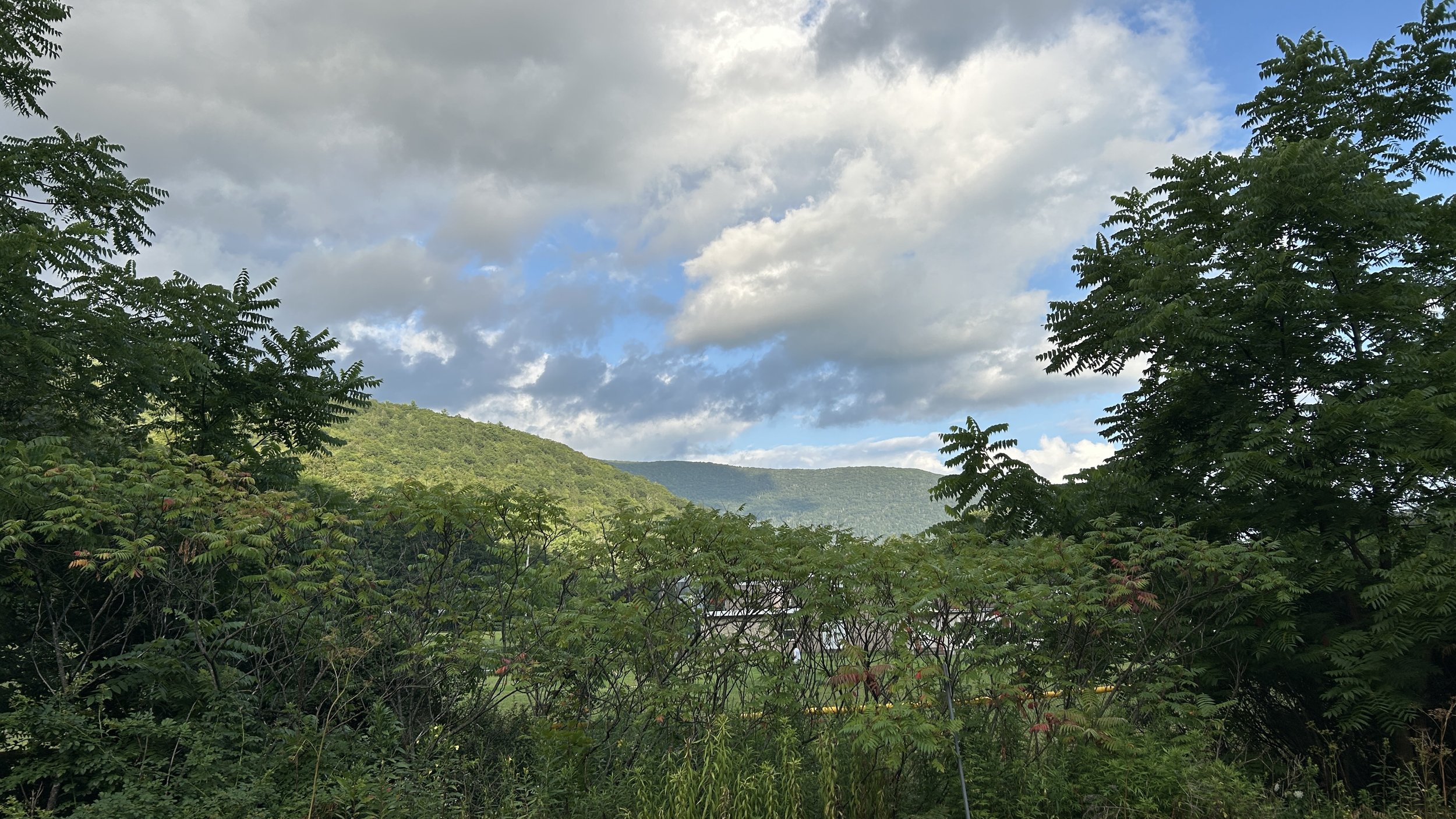 green vegetation in the foreground, green mountains and cloudy blue sky in the background