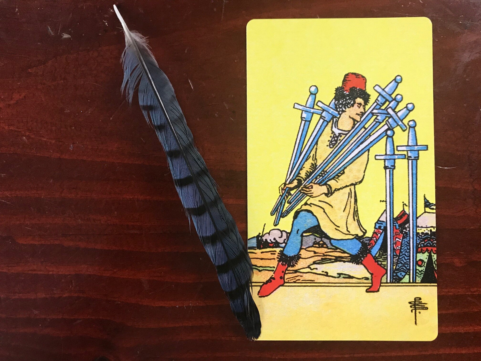 an inverted blue jay feather next to a yellow tarot card of a figure with red hat and boots sneaking away with 5 swords while 2 swords remain stuck in the ground