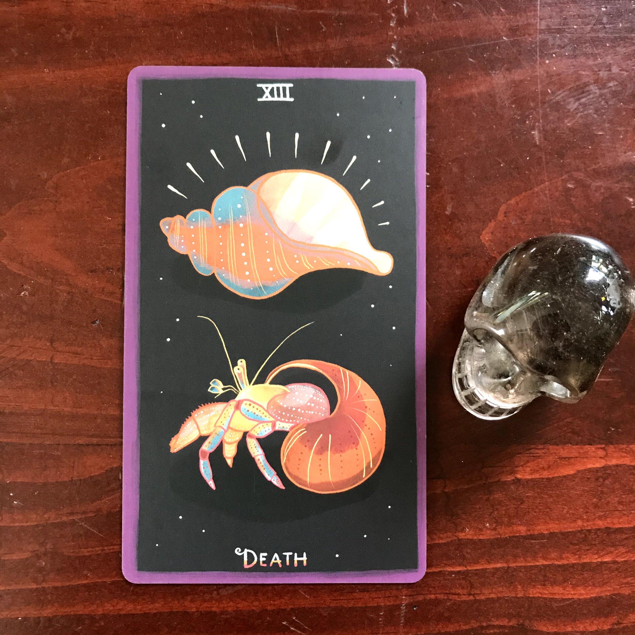 a tarot card depicting an empty shell above and a hermit crab leaving its shell below and a smoky quartz skull against a dark wood background