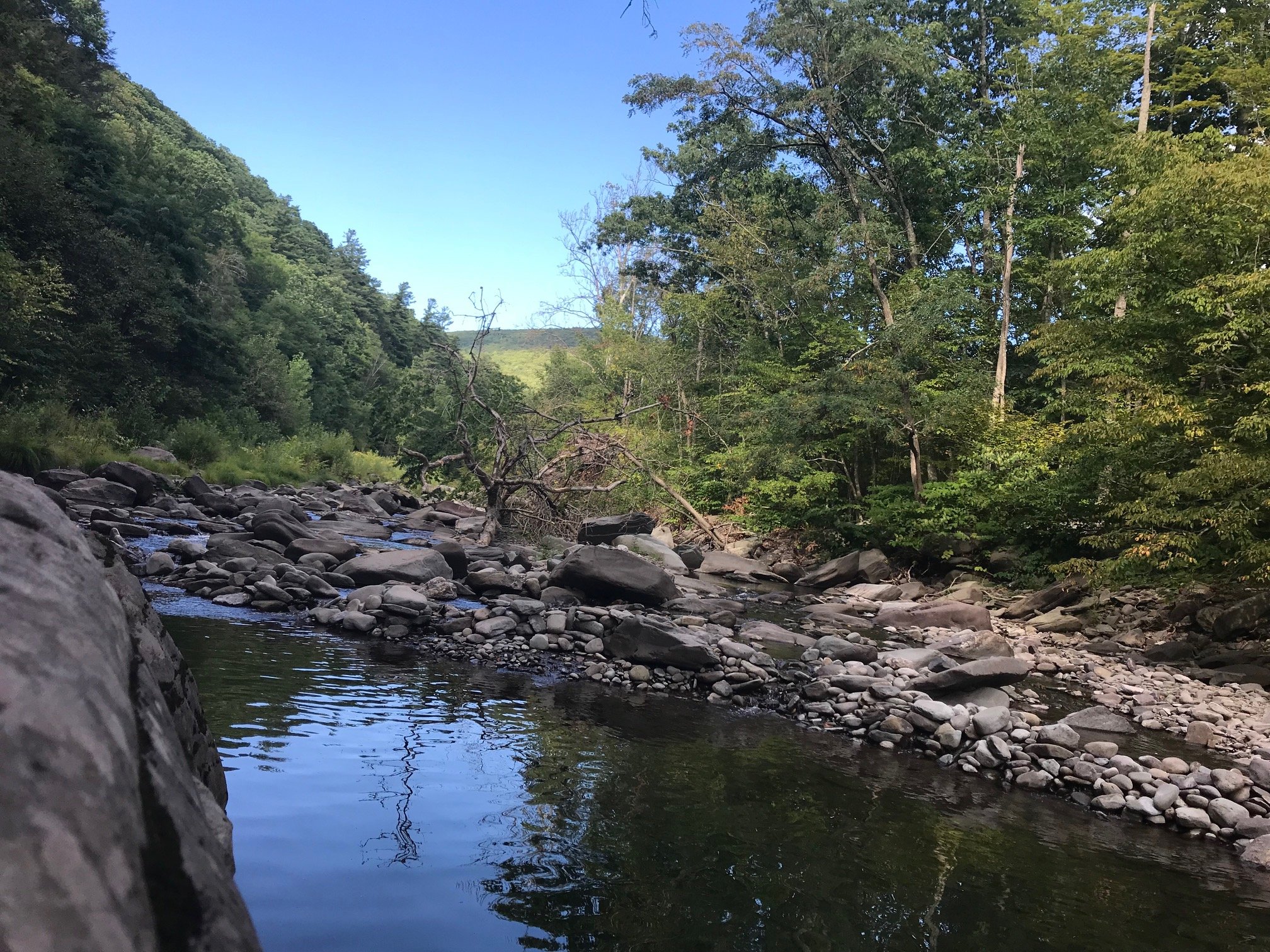 a swimming hole ringed by bluestone river rocks and green trees with a clear blue sky in the background