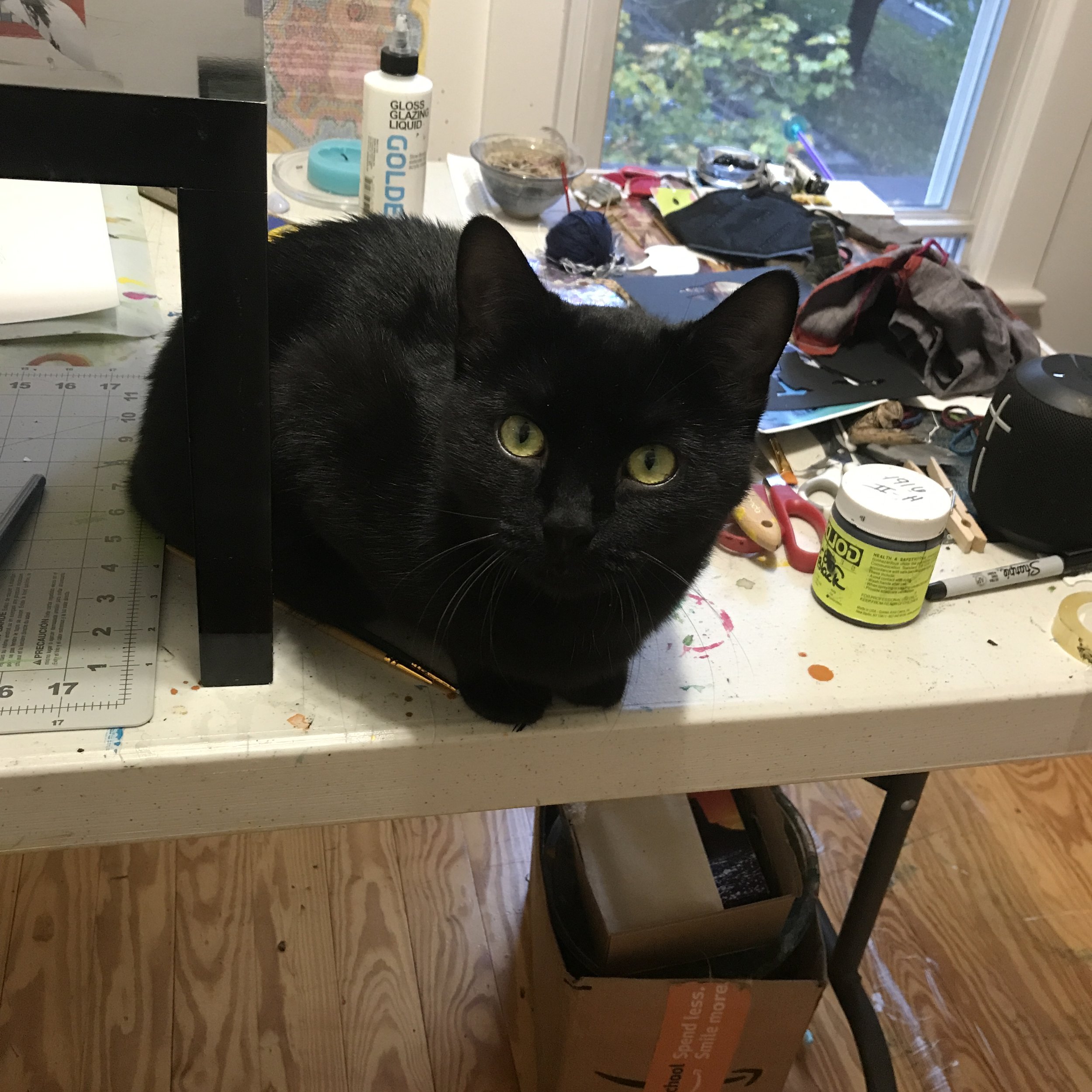 a black cat with green eyes sits on a messy studio table and looks right at the viewer