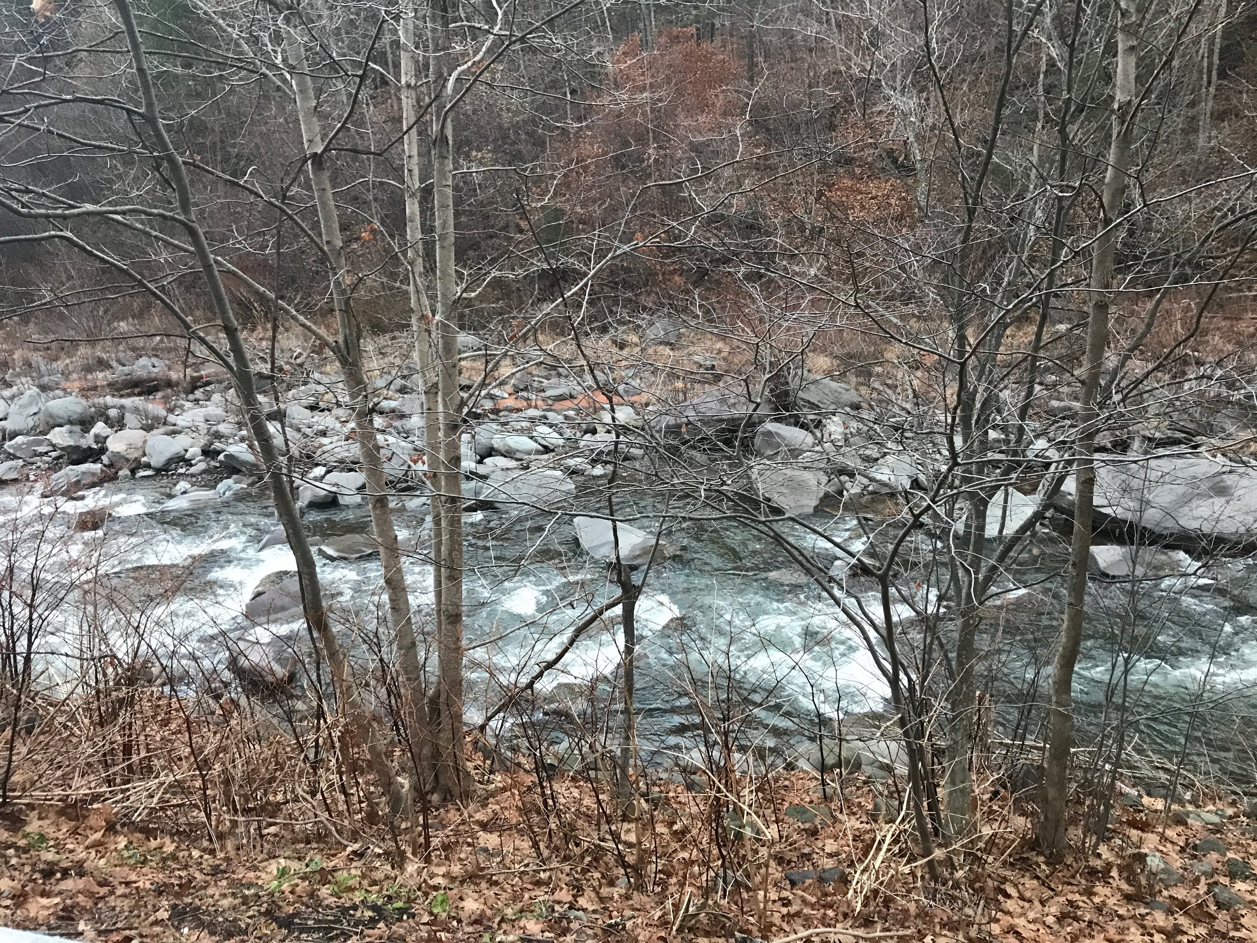 a beautiful light turquoise creek running through a bare winter landscape, fallen leaves and bluestone boulders line the creekbed