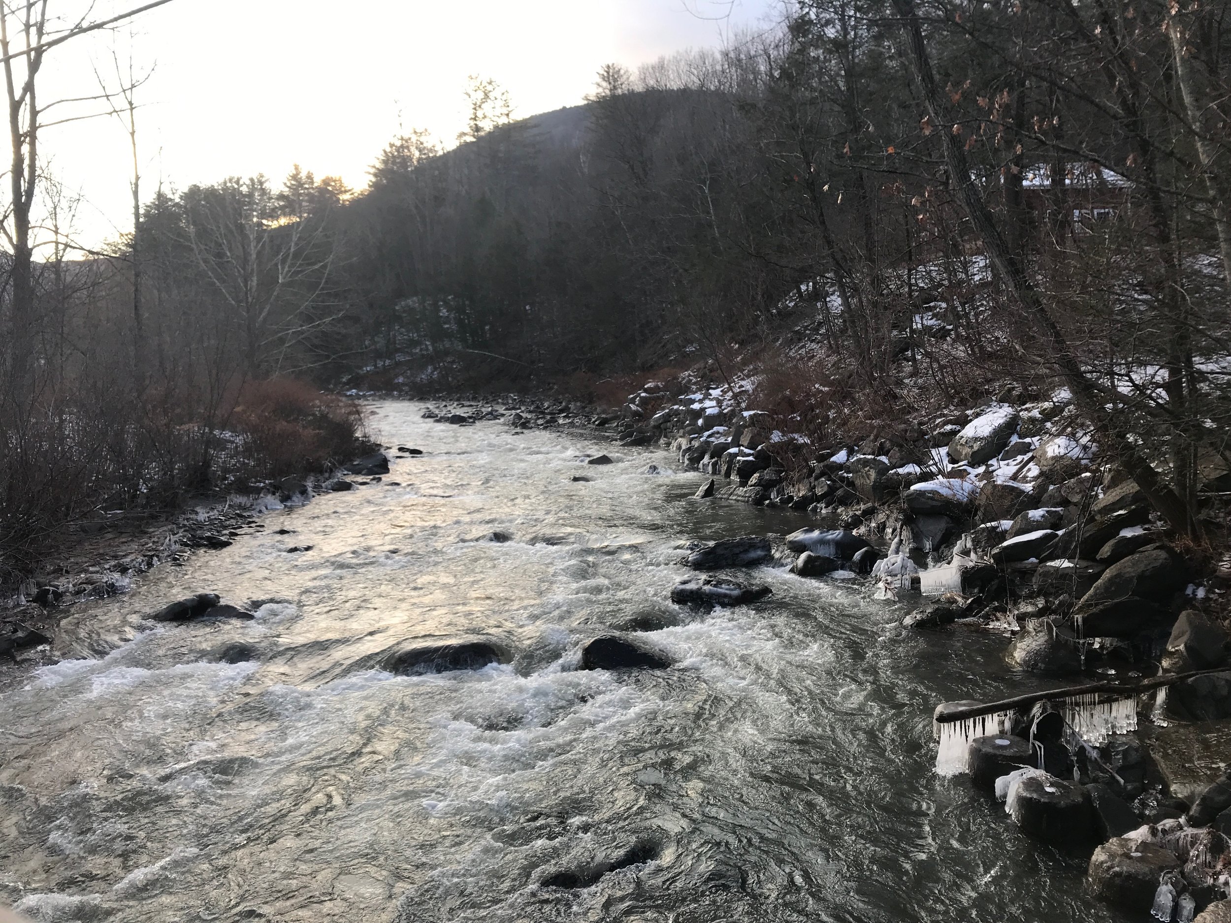 a creek running through a bare winter landscape, icicles cling to tree roots