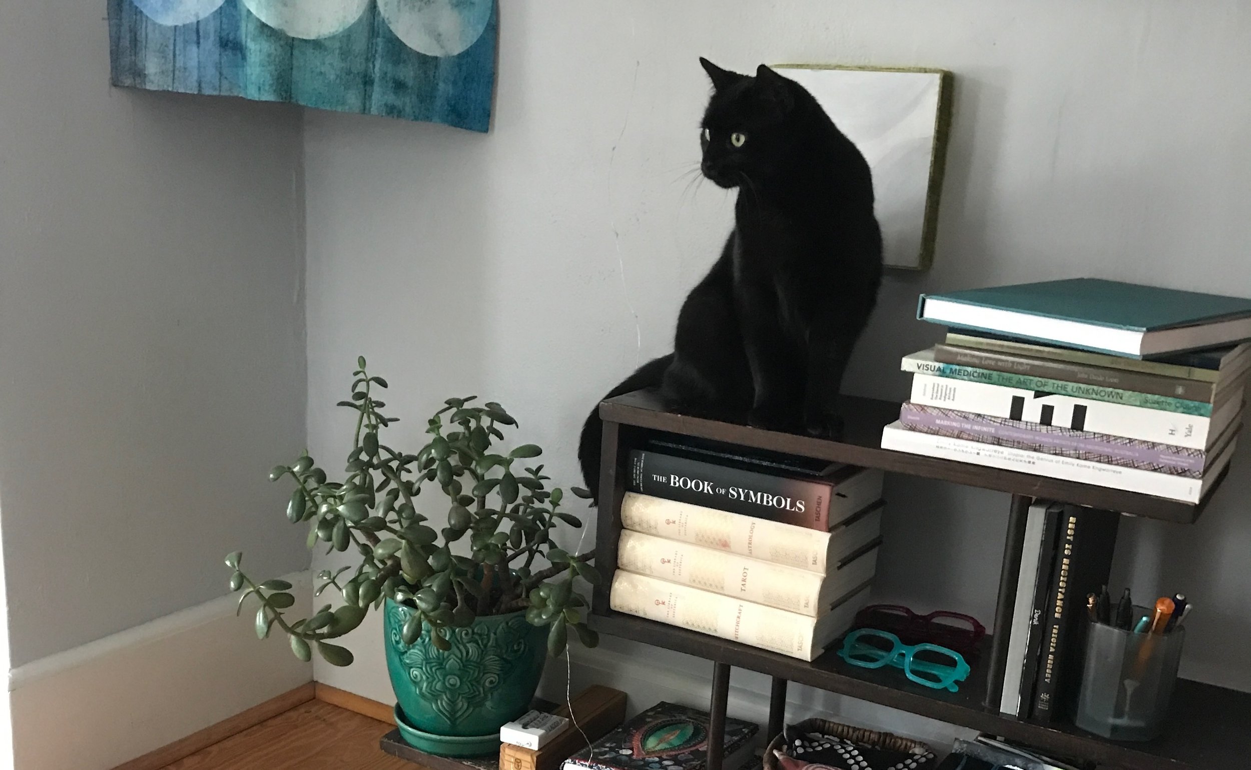 a gorgeous black cat sitting on a bookshelf, her green eyes staring at something in the distance