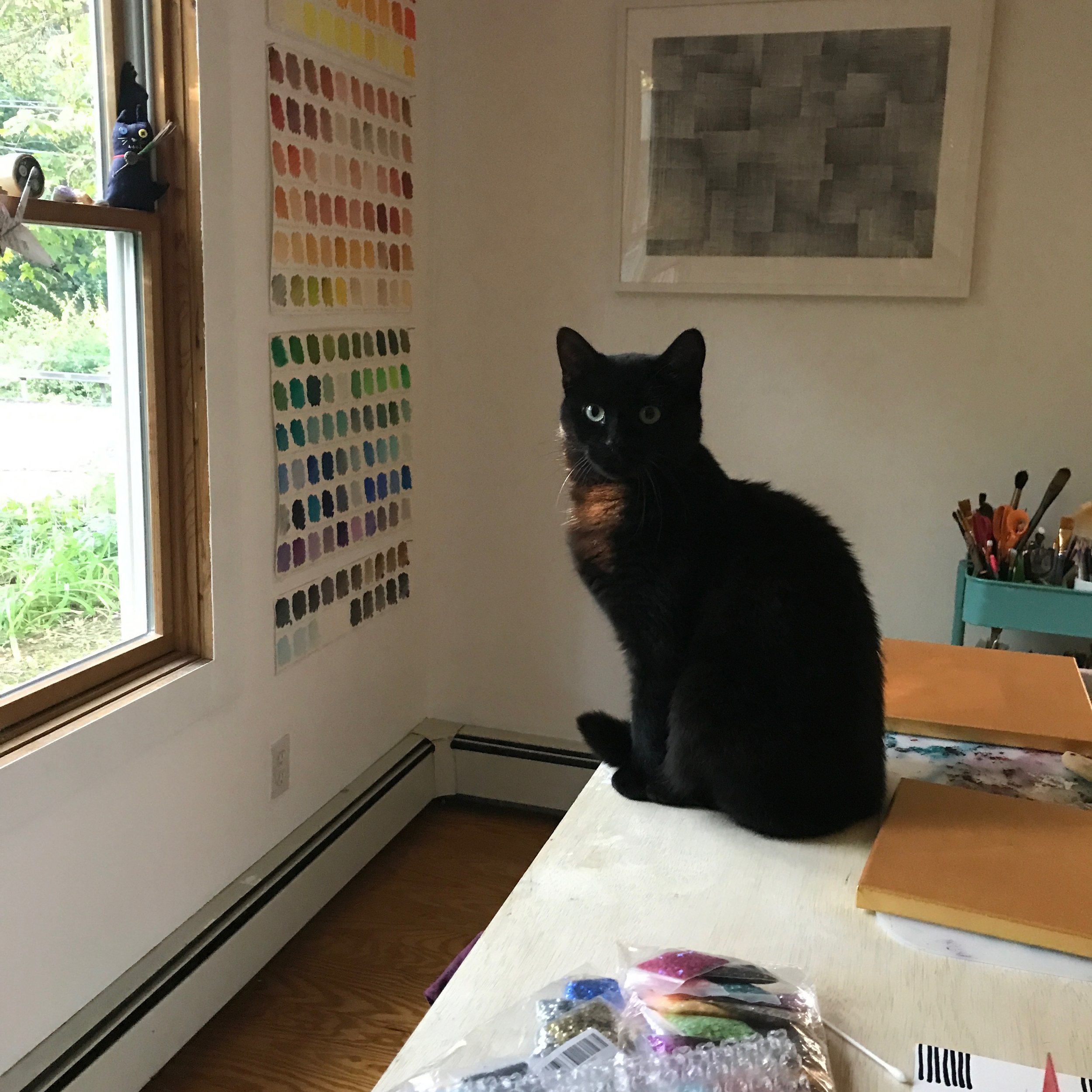 a black cat with green eyes looking directly at the viewer while sitting on a wood-topped table with art supplies