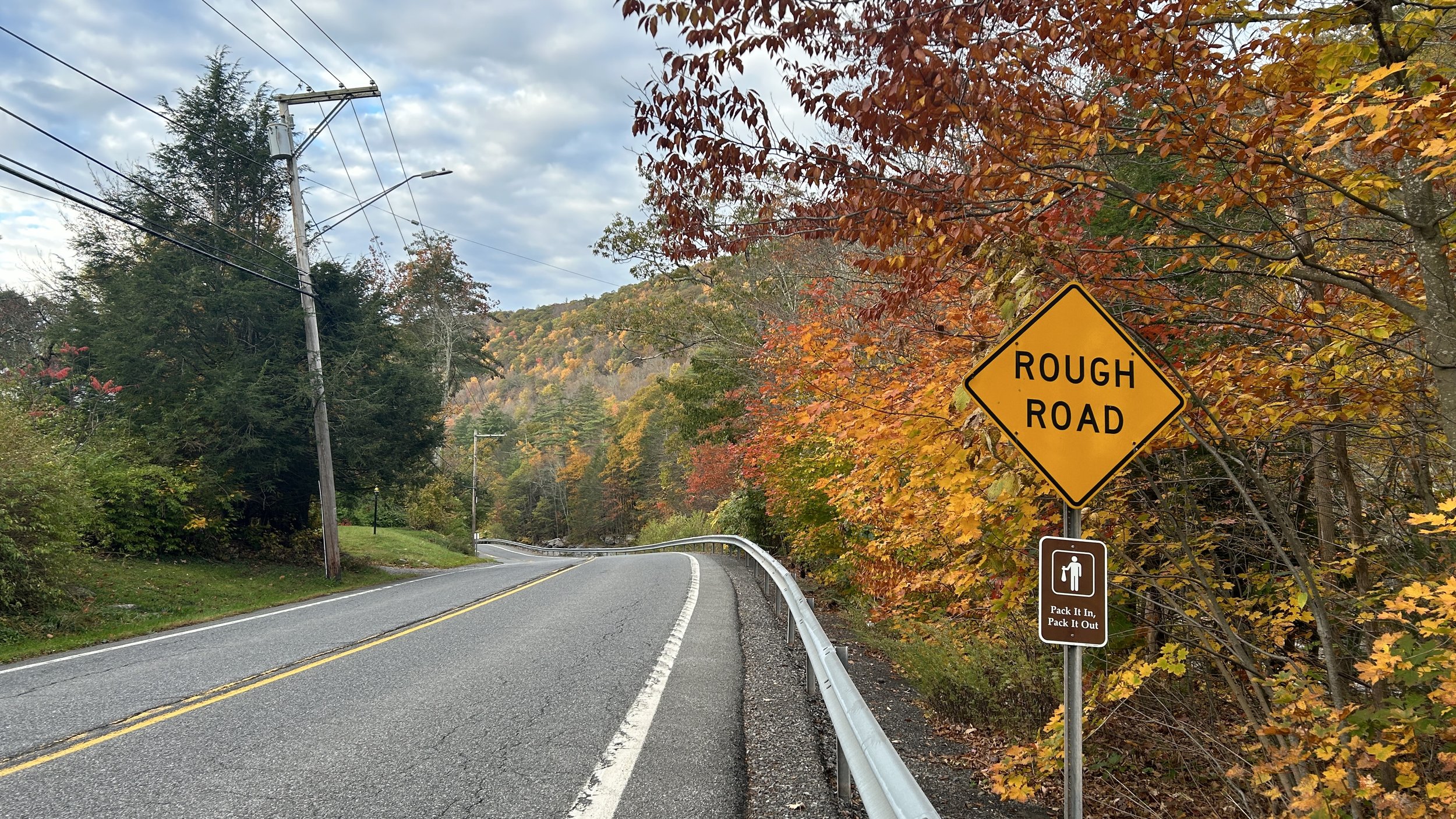 a two-lane road lined with trees whose autumn leaves are orange and yellow