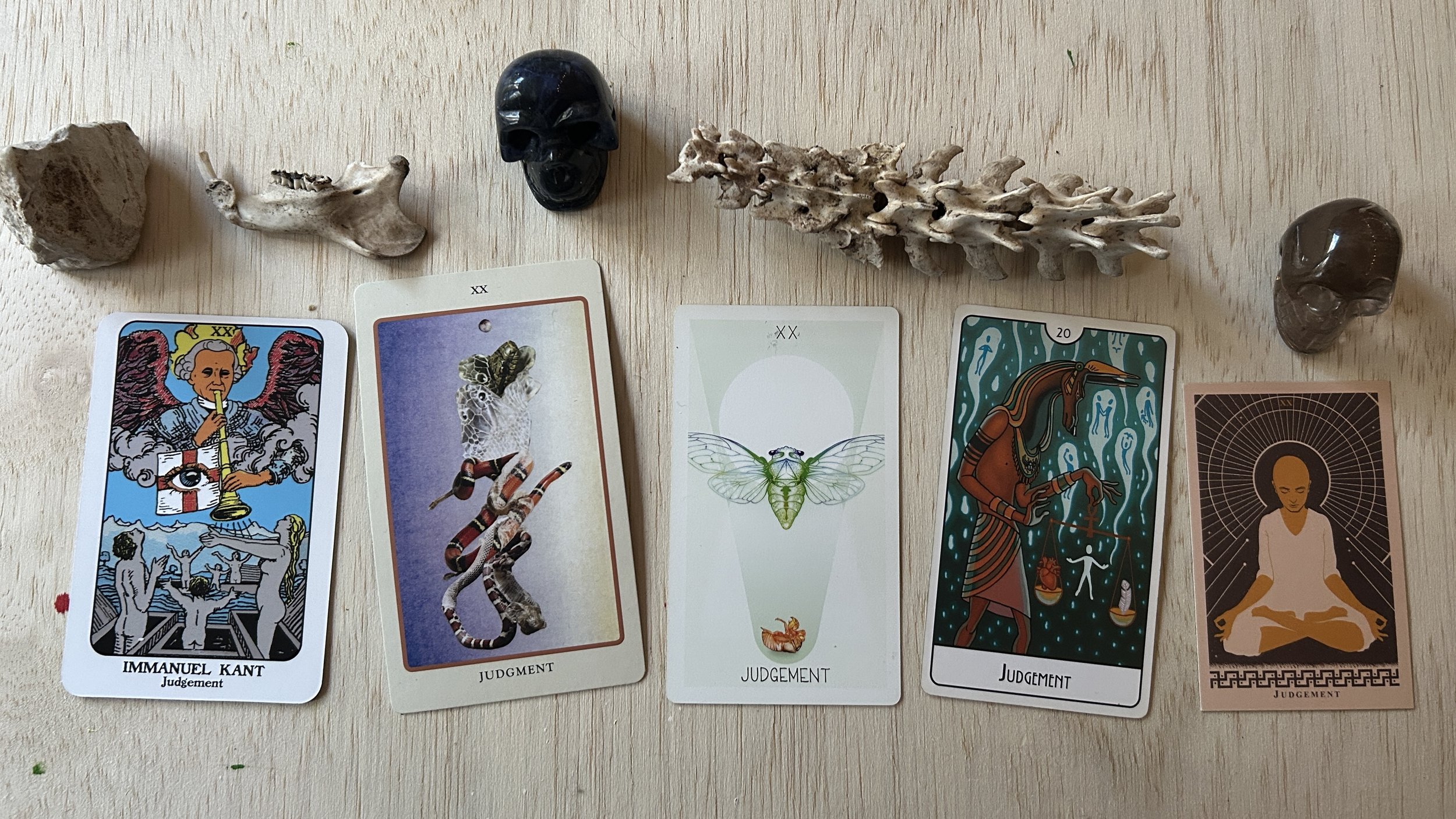5 tarot cards in a row from different decks with animal bones and skull-shaped stones against a light wood background
