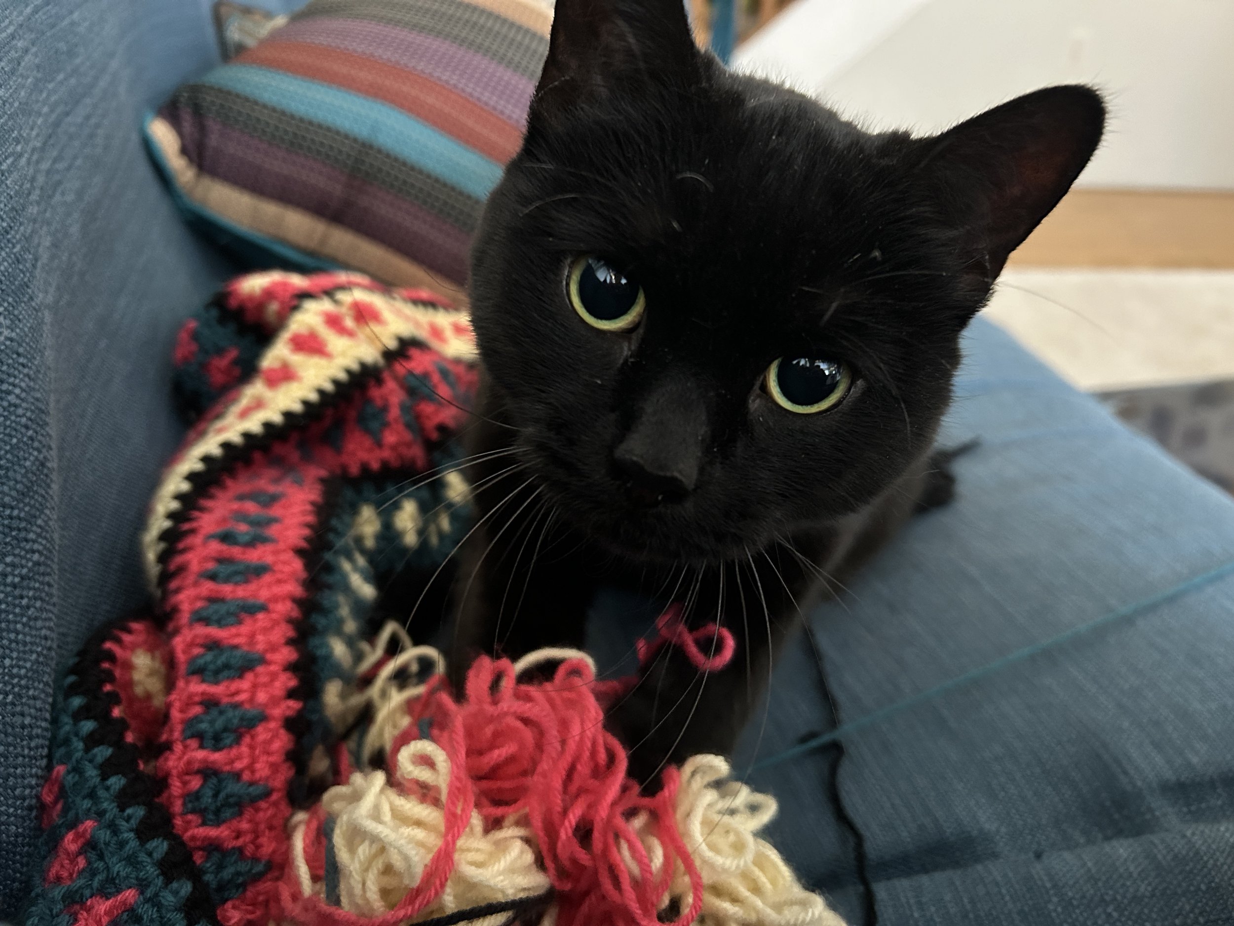   the importance of self-soothing  