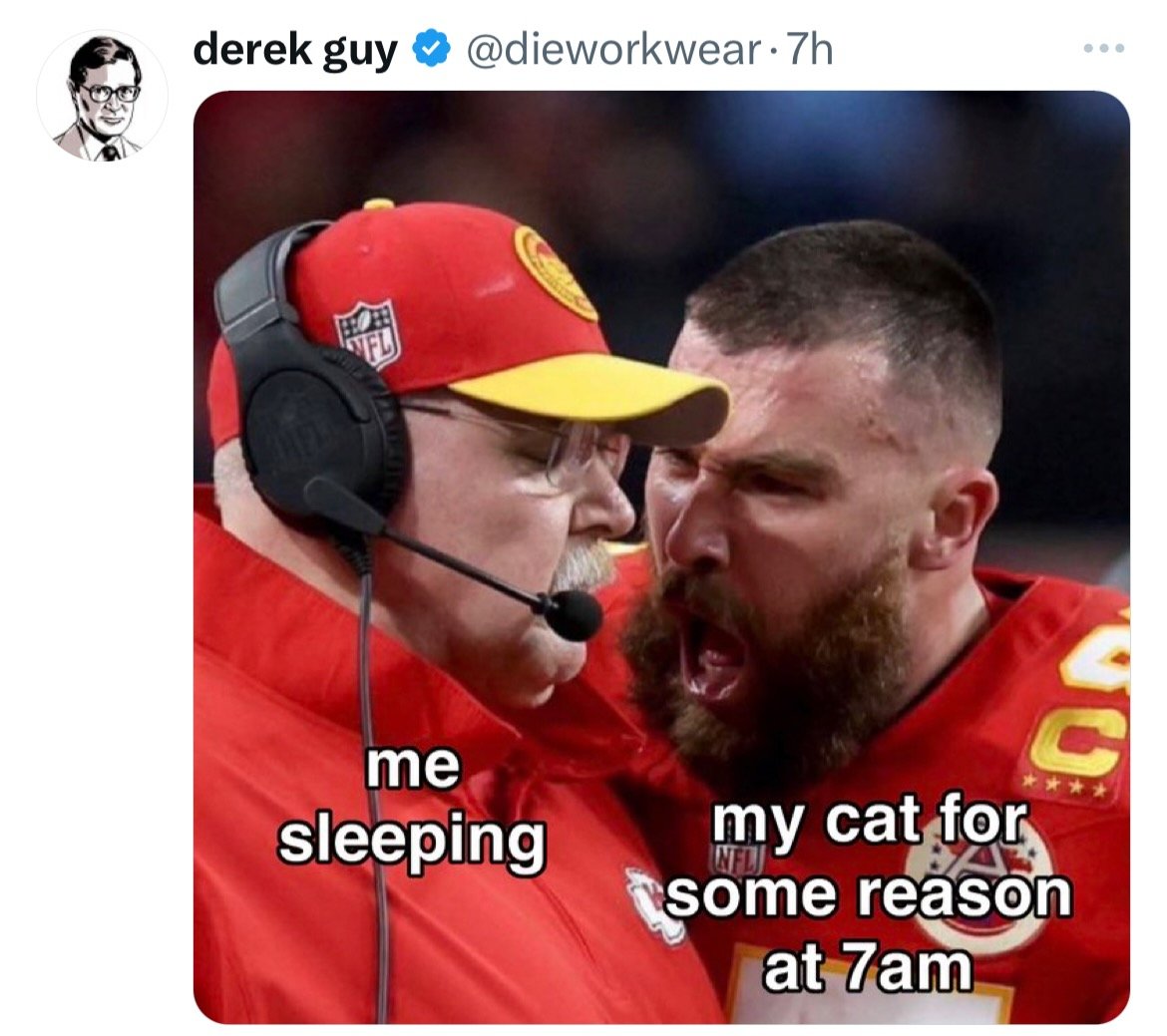 a meme from the menswear guy showing a bearded football player screaming (my cat for some reason at 7am) at Andy Reid with his eyes closed (me sleeping)
