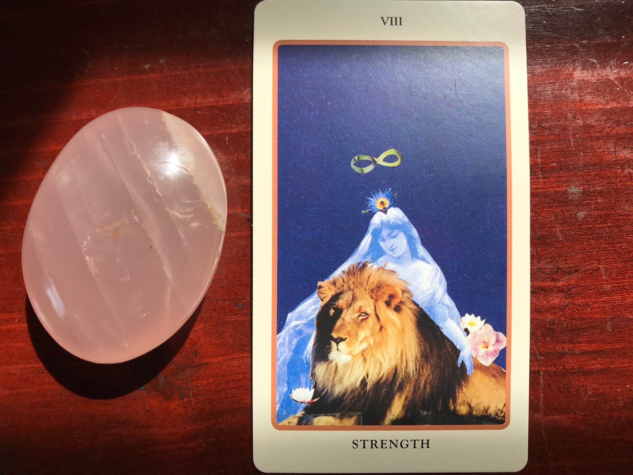 a rose quartz stone alongside a tarot card depicting a woman sitting behind a relaxing lion