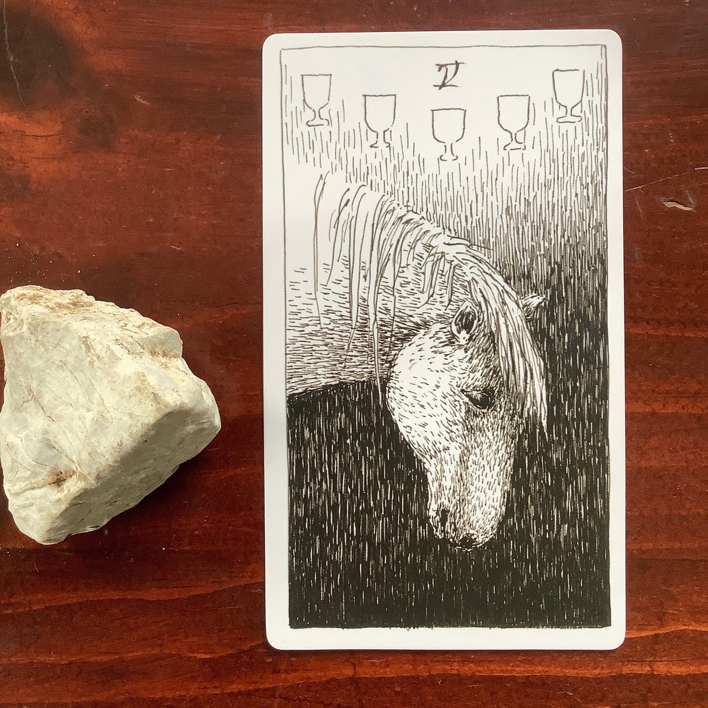  Five of Cups from  The Wild Unknown Tarot Deck  