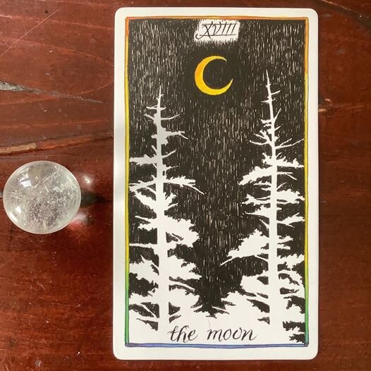  The Wild Unknown Tarot 