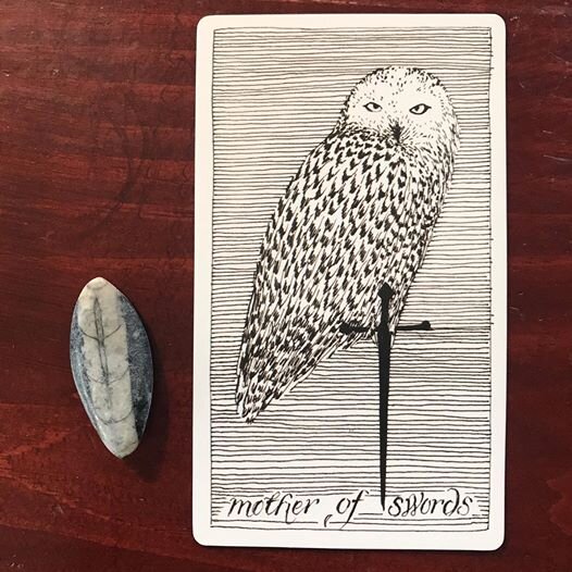  The Wild Unknown Tarot 