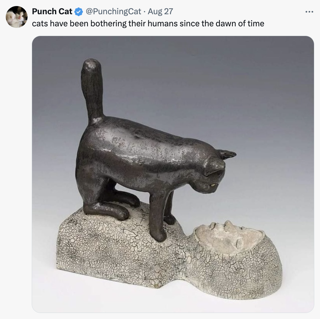 a meme that says cats have been bothering their humans since the dawn of time and a sculpture of a black cat standing on the chest of a reclining torso figure