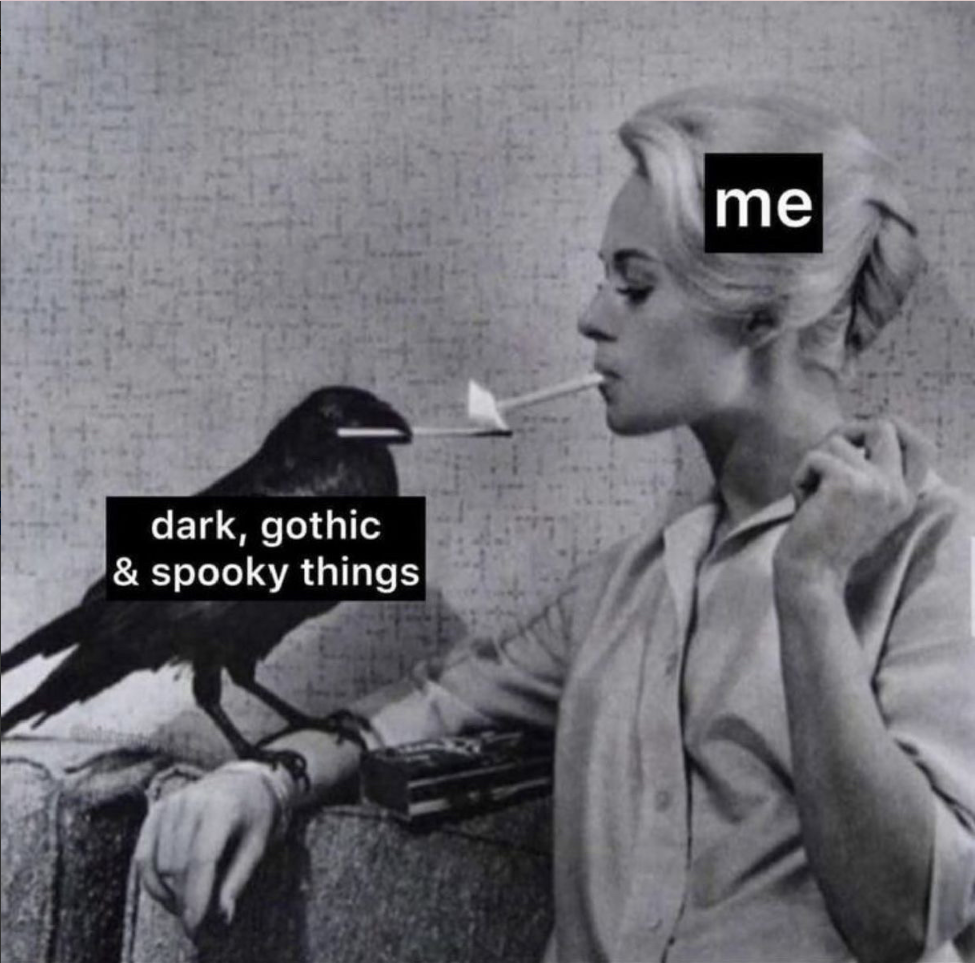 meme of a black and white photograph of a crow holding a lit match in its beak, dark, gothic & spooky things, lighting a woman's cigarette, me