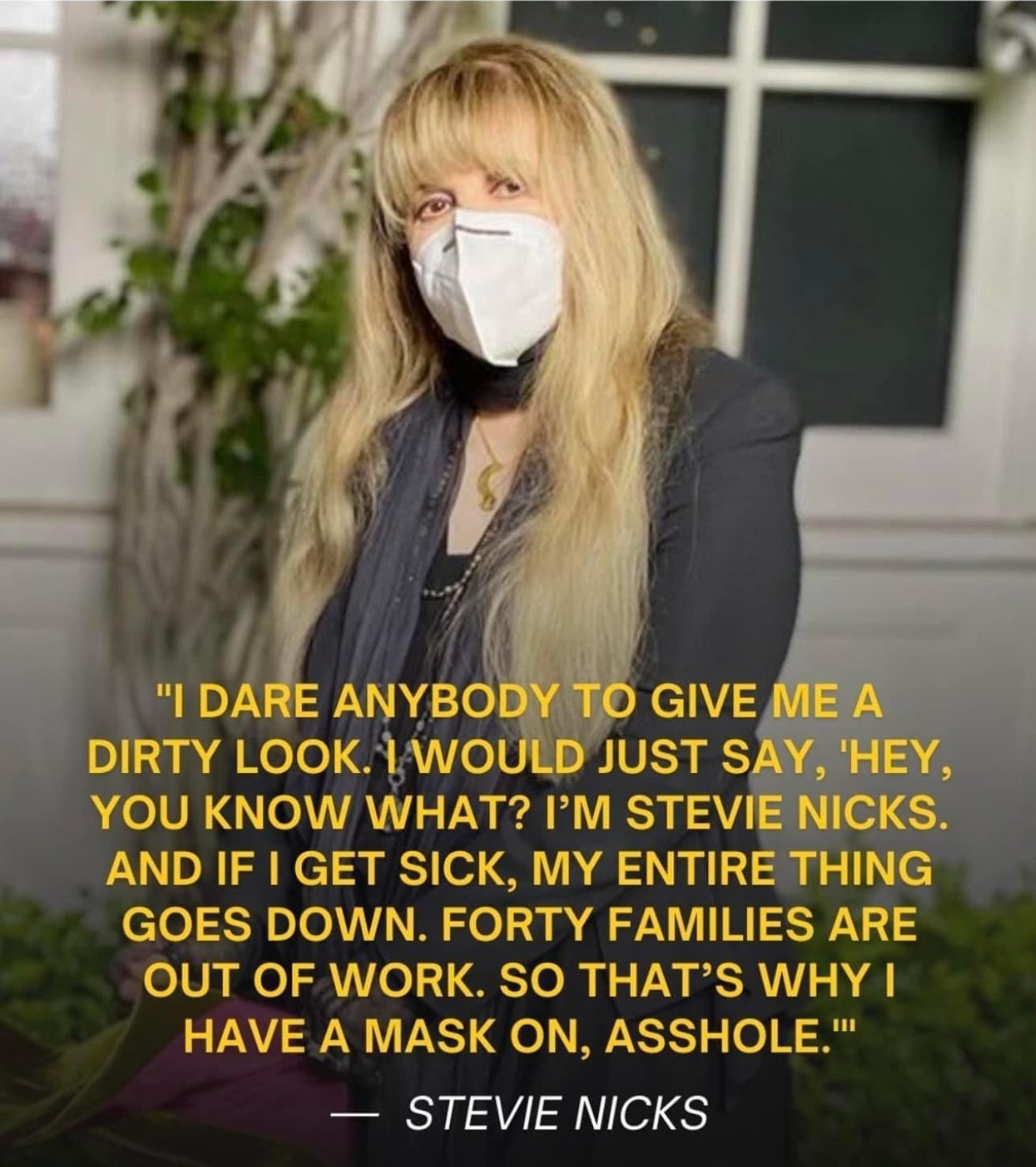 photo of Stevie Nicks wearing a mask with the quote I dare anybody to give me a dirty look. I would just say, Hey, you know what? I'm Stevie Nicks. And if I get sick, my entire things goes down...