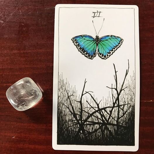The Wild Unknown Tarot