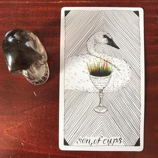  The Wild Unknown Tarot 