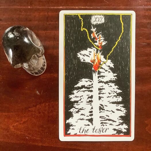  The Wild Unknown Tarot 