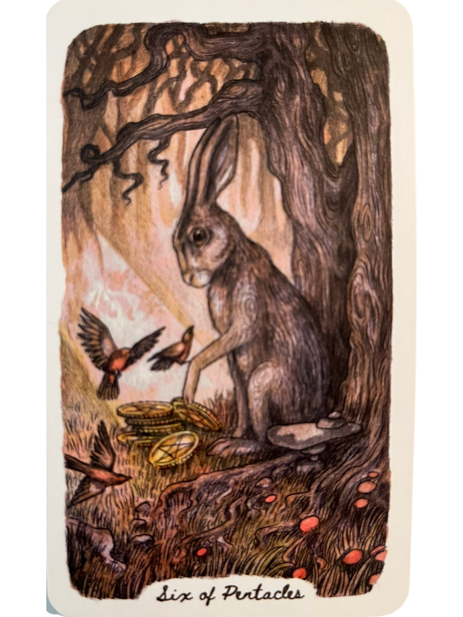 tarot card showing a rabbit against the base of tree with gold coins and flying birds 