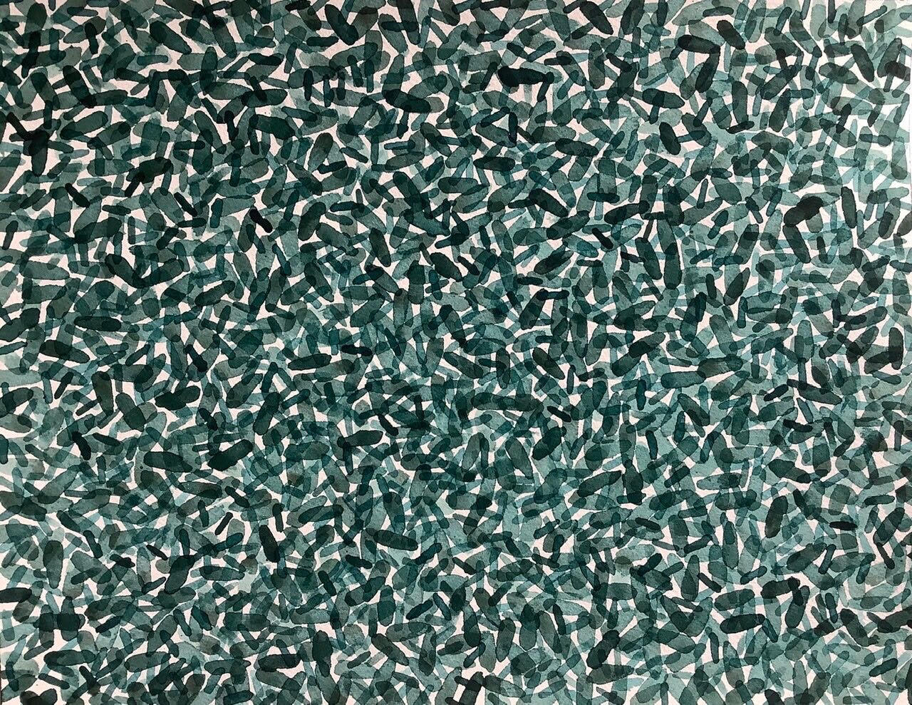   New in the Shop:    Water Life II, 2020   . 11 x 14” Watercolor on paper.  