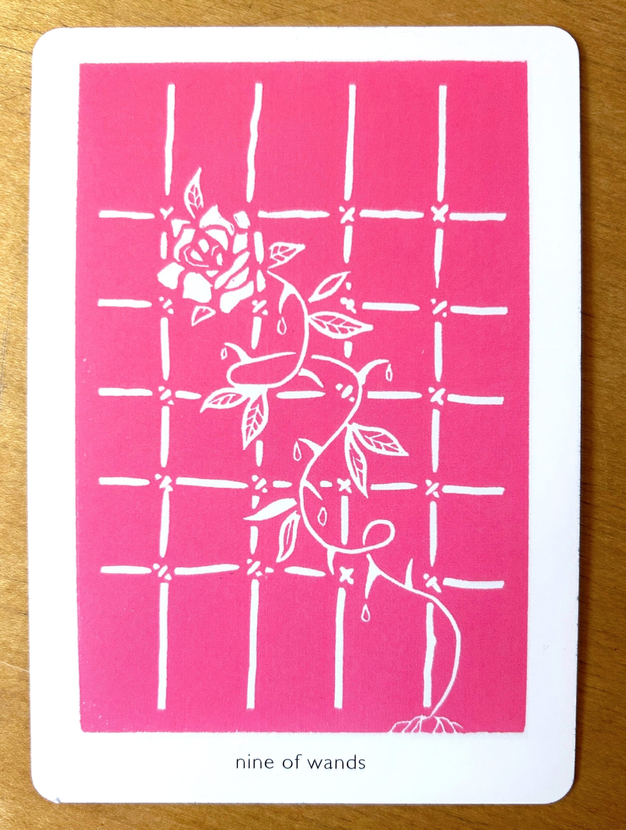 a linocut print with a white rose climbing a gridded trellis against a bright pink ground
