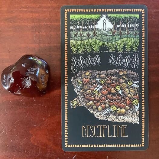 a blood-red stone alongside a tarot card with the keyword Discipline that shows an underground burrow filled with acorns and insects