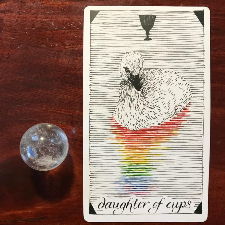 daughter of cups tarot card showing a black-billed duckling looking at its rainbow reflection in line-drawn water. a black goblet hovers at the top center