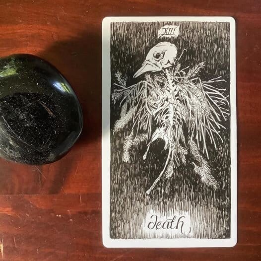 a black stone alongside an illustrated tarot card of a bird skeleton
