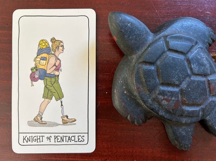 a white person walking in profile with a big hiking backpack, hiking boots and one artificial leg next to a turtle sculpture