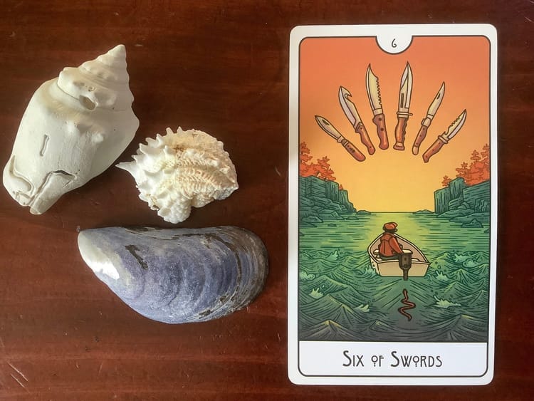 three small seashells and a tarot card against a dark wood background