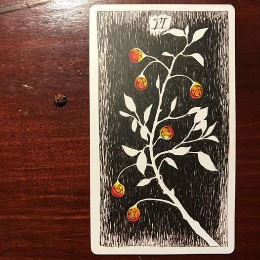 an illustration of a white branch and leaves with 6 small pendulous golden-orange pentacles hanging off against a black ground