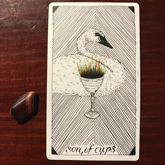 a white swan in profile with a white goblet in the foreground out of which colored radiating lines are coming out