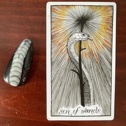 an upright snake wraps its head around a black wand whose tip is radiating black and orange lines