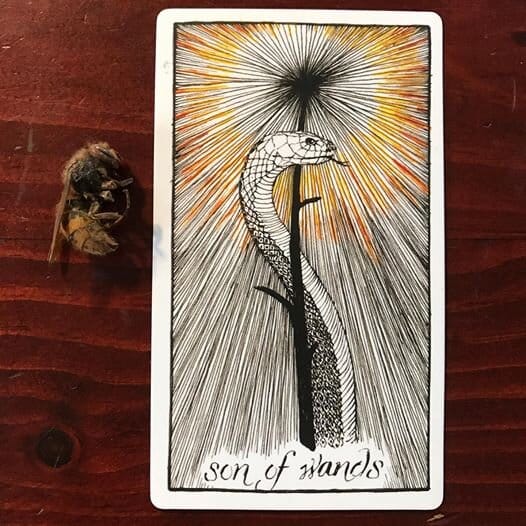 an upright snake wraps its head around a black wand whose tip is radiating black and orange lines