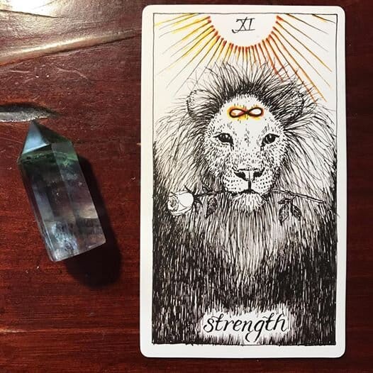 an illustration of a lion holding a long-stem rose in its mouth, an infinity symbol on its forehead and a radiating sun above