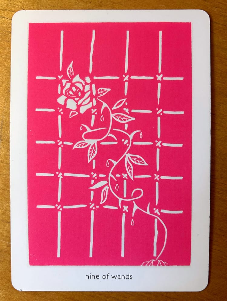 a linocut print with a white rose climbing a gridded trellis against a bright pink ground