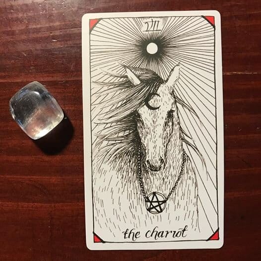 chariot tarot card with a white horse facing the viewer, mane blowing in the wind with a radiating sun, a black crescent moon on its forehead and a pentacle pendant around its neck
