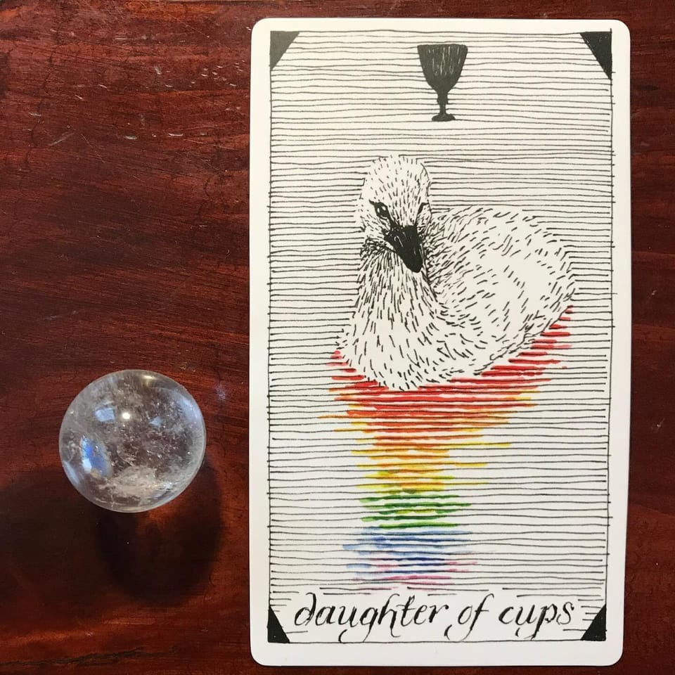 daughter of cups tarot card showing a black-billed duckling looking at its rainbow reflection in line-drawn water. a black goblet hovers at the top center