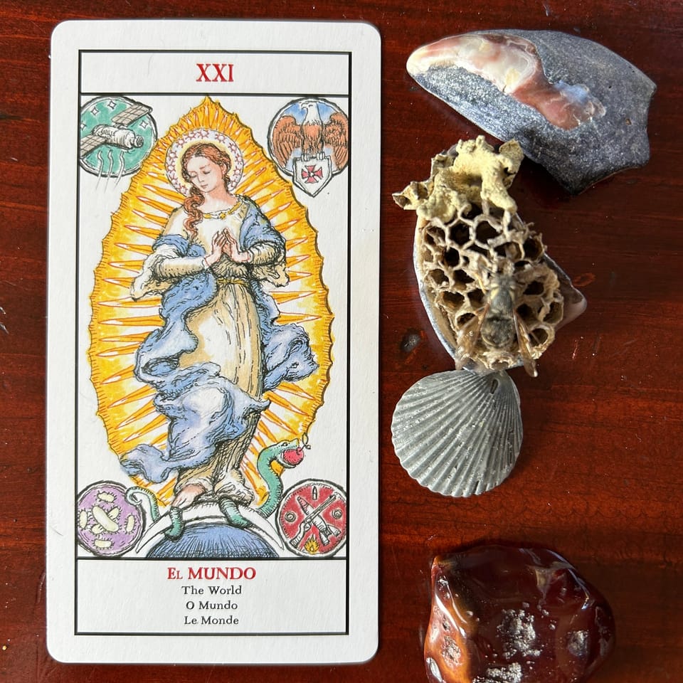 a tarot card on a wood background with shells, rocks, and other natural objects next to it