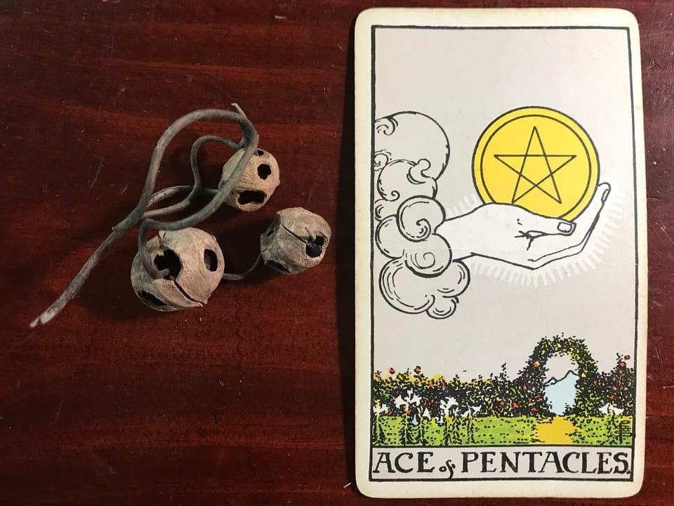 light brown empty seed pods through which a curly thin branch is threaded and a tarot card against a dark wood background