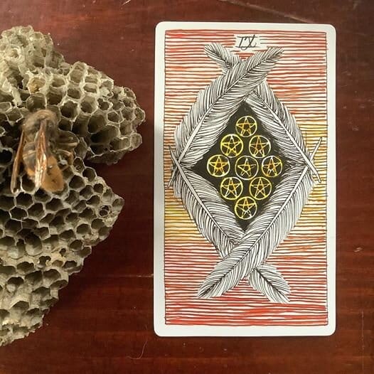 a wasp nest with a dead bee on it next to a tarot card with 9 yellow pentacles in a diamond shape nestled in 4 feathers in the shape of a diamond