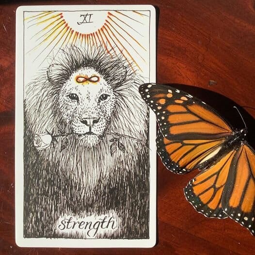 Card of the Day: XI Strength